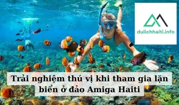 Trải nghiệm thú vị khi tham gia lặn biển ở đảo Amiga Haiti